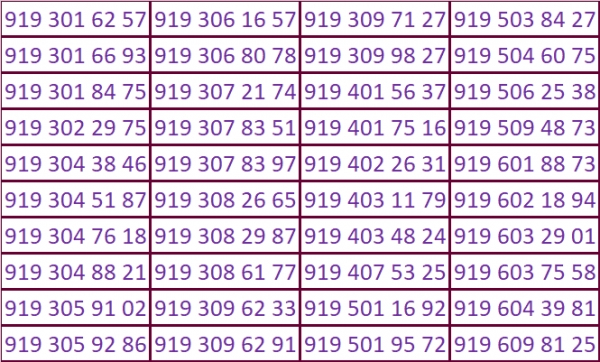 کد 919BN81